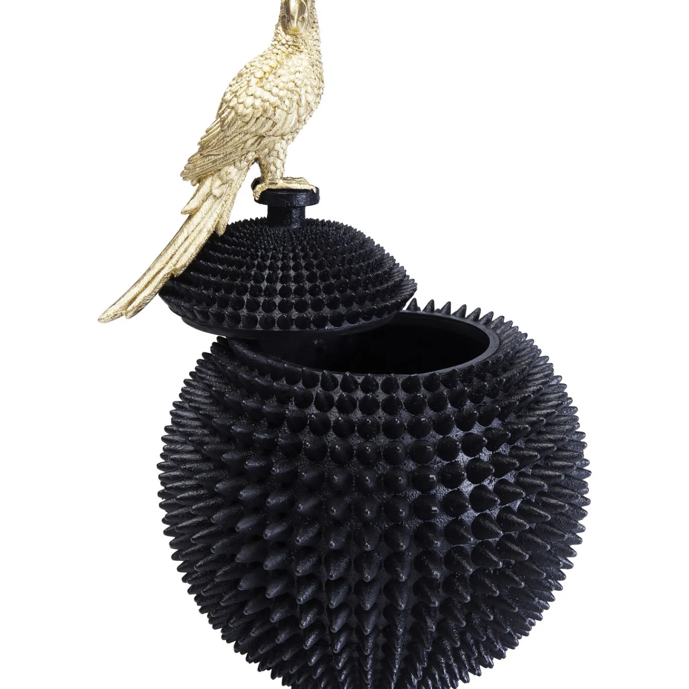 KARE Design Boite Décorative Parrot 40Cm