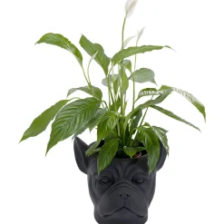 KARE Design Cachepot Décoratif Bulldog Noir