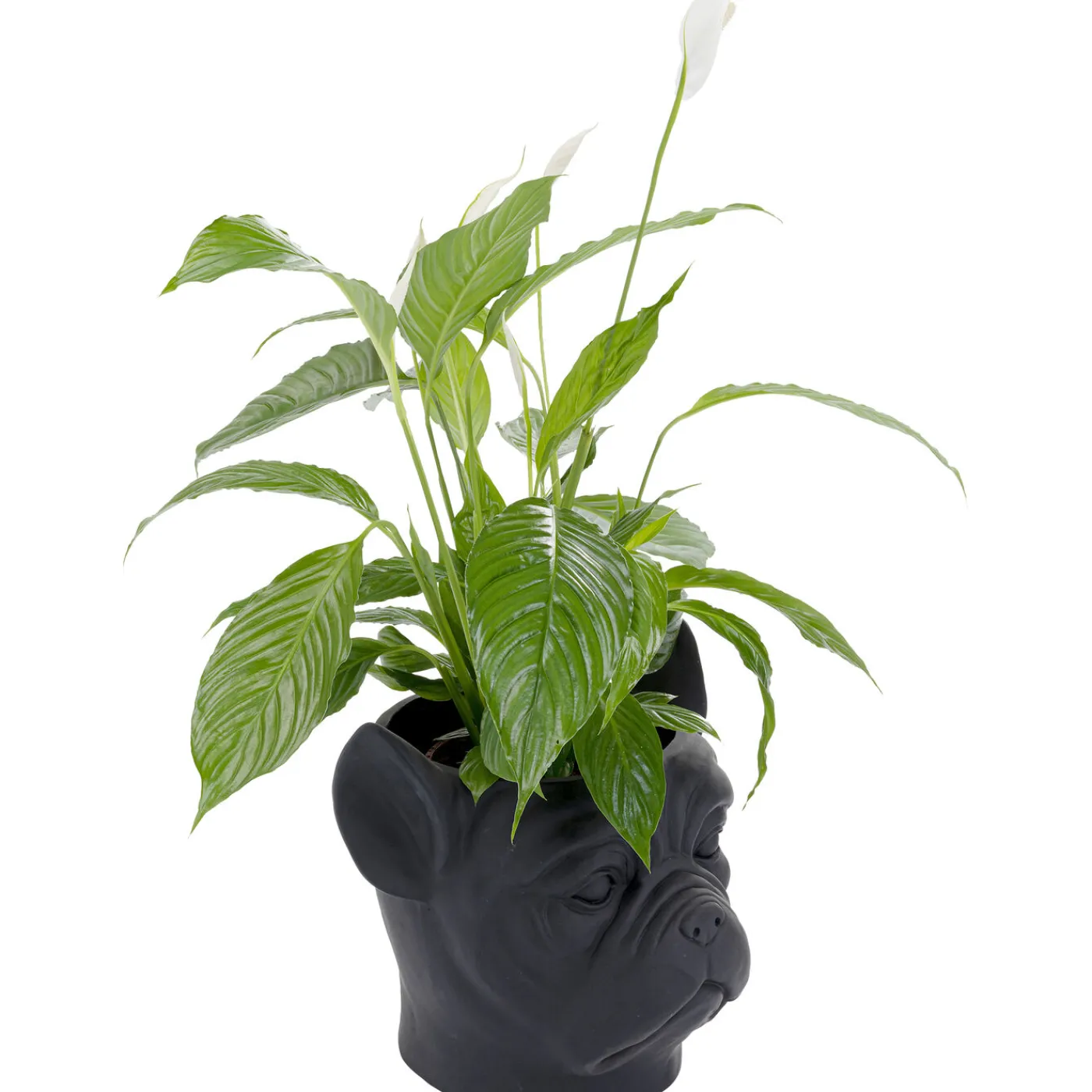 KARE Design Cachepot Décoratif Bulldog Noir