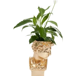 KARE Design Cachepot Décoratif David Dore