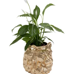KARE Design Cachepot Décoratif Lion Dore