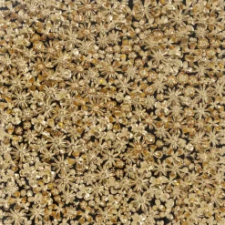 KARE Design Cadre Décoratif Gold Flower 120X120Cm