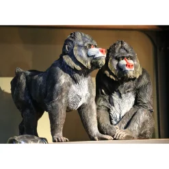 KARE Design Figurine Décorative Walking Mandrill 47Cm