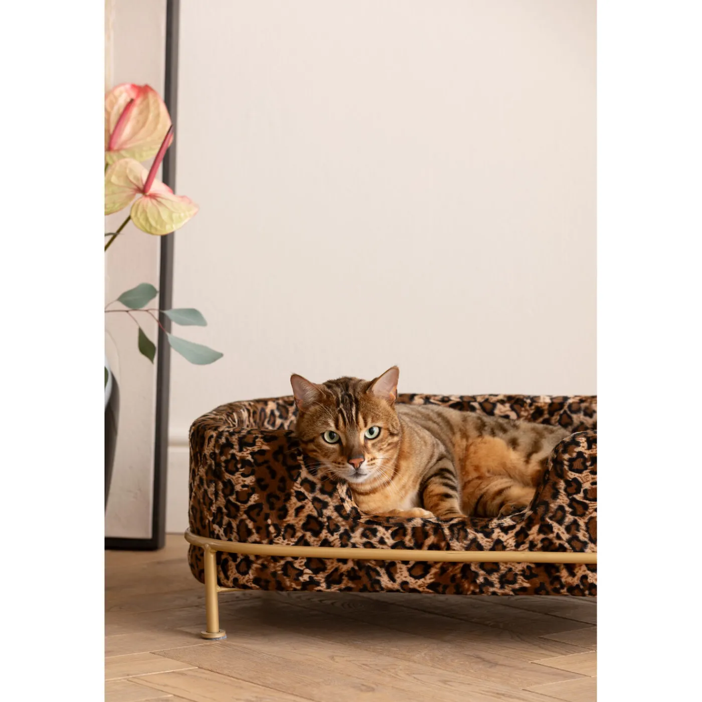 KARE Design Lit Pour Chien/Chat Diva Leo