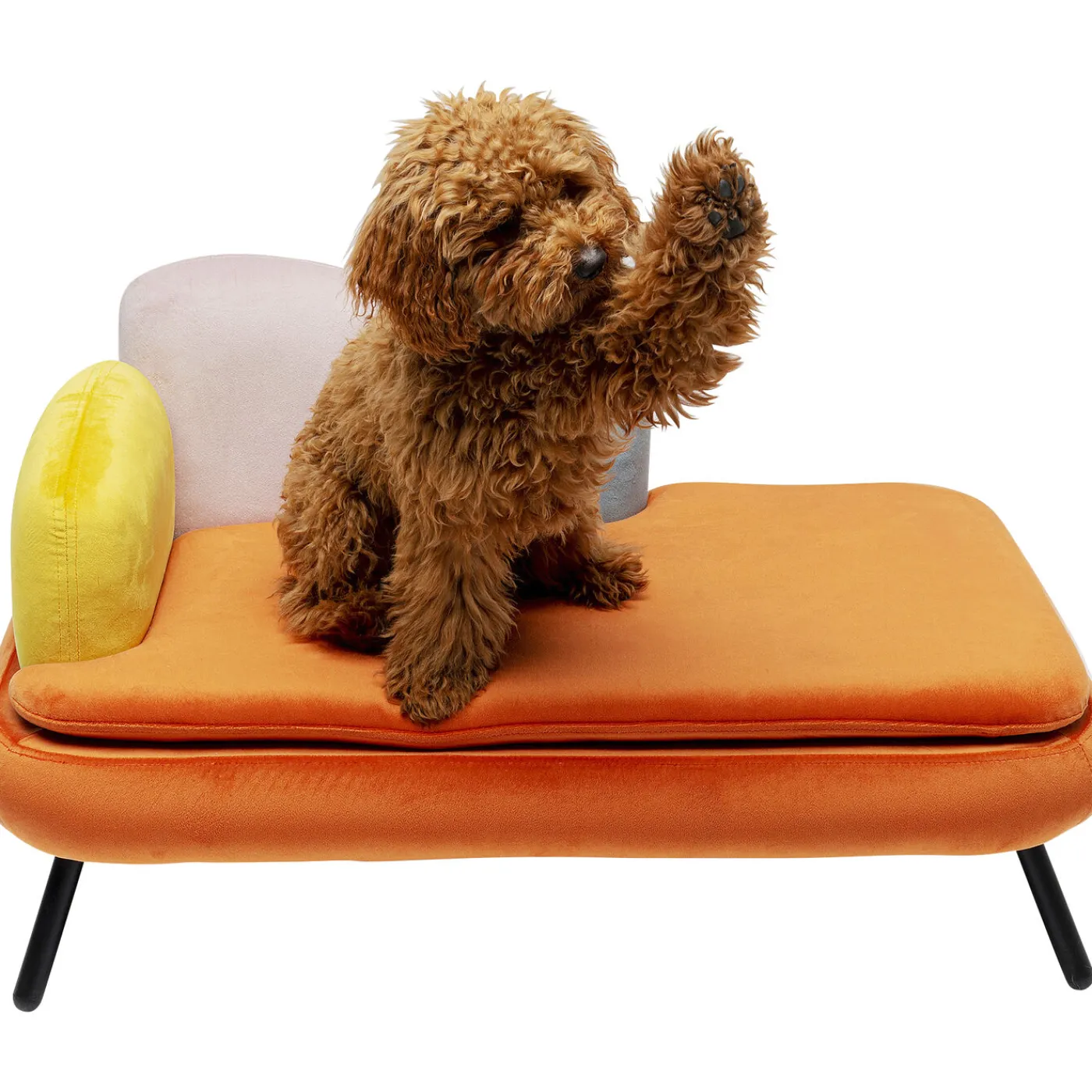 KARE Design Lit Pour Chien/Chat Diva Orange