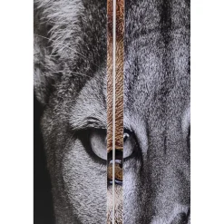 KARE Design Paravent King Lion Vs Cat Girl 120X180