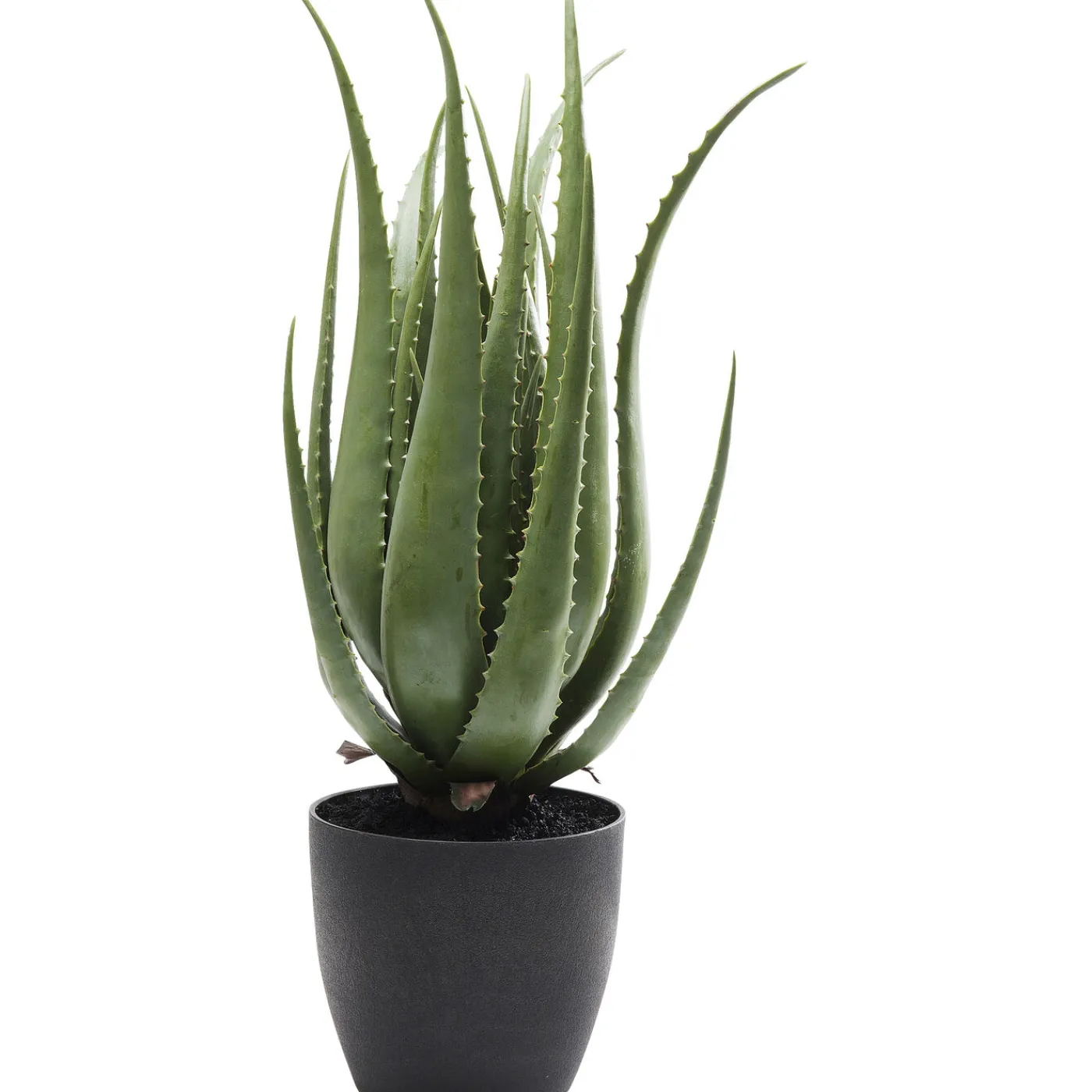 KARE Design Plante Décorative Aloe 69Cm