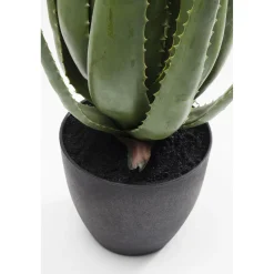 KARE Design Plante Décorative Aloe 69Cm