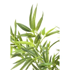 KARE Design Plante Décorative Bamboo Tree 200Cm