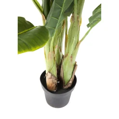 KARE Design Plante Décorative Banana Tree 180Cm