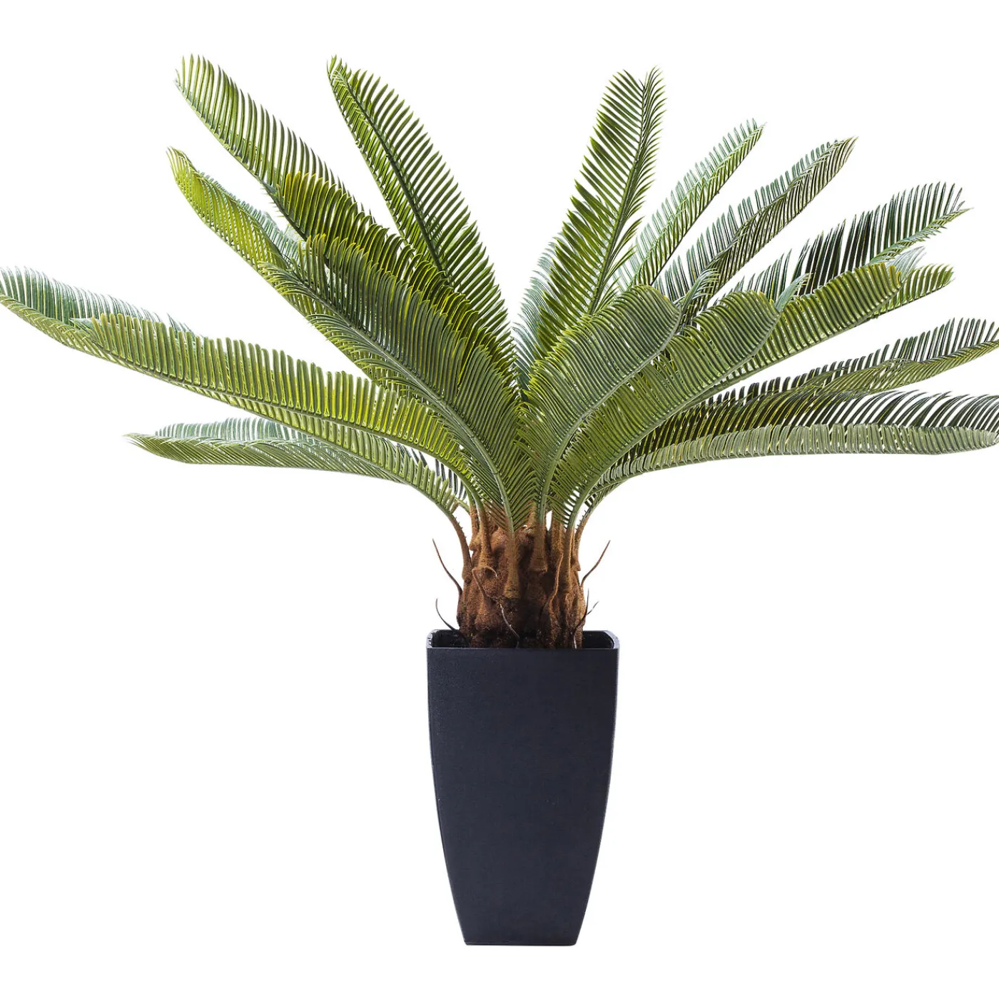 KARE Design Plante Décorative Cycas Tree 78Cm