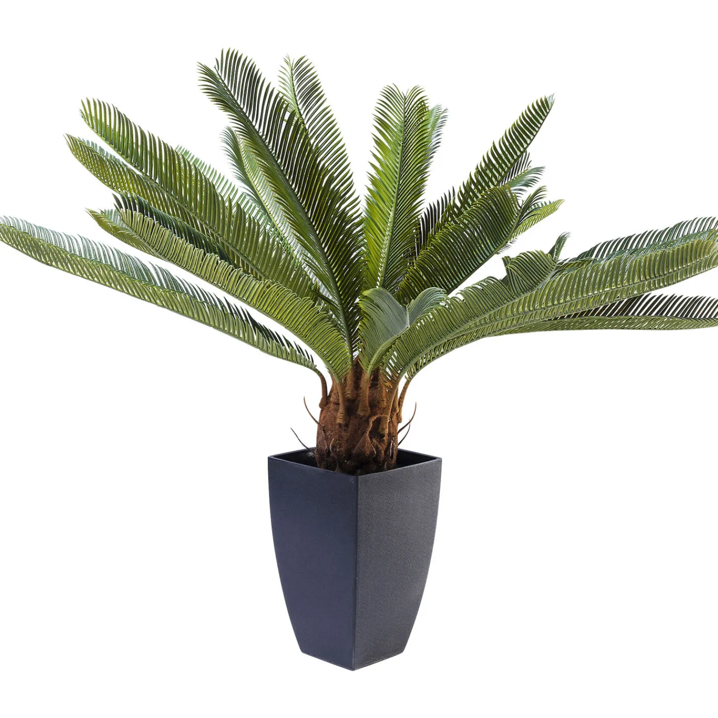KARE Design Plante Décorative Cycas Tree 78Cm