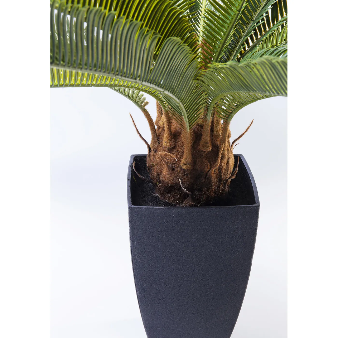 KARE Design Plante Décorative Cycas Tree 78Cm