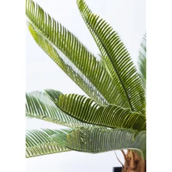 KARE Design Plante Décorative Cycas Tree 78Cm