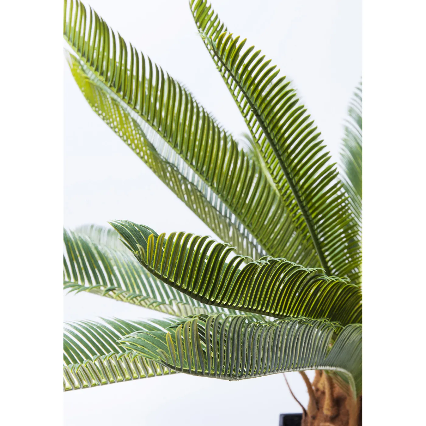 KARE Design Plante Décorative Cycas Tree 78Cm
