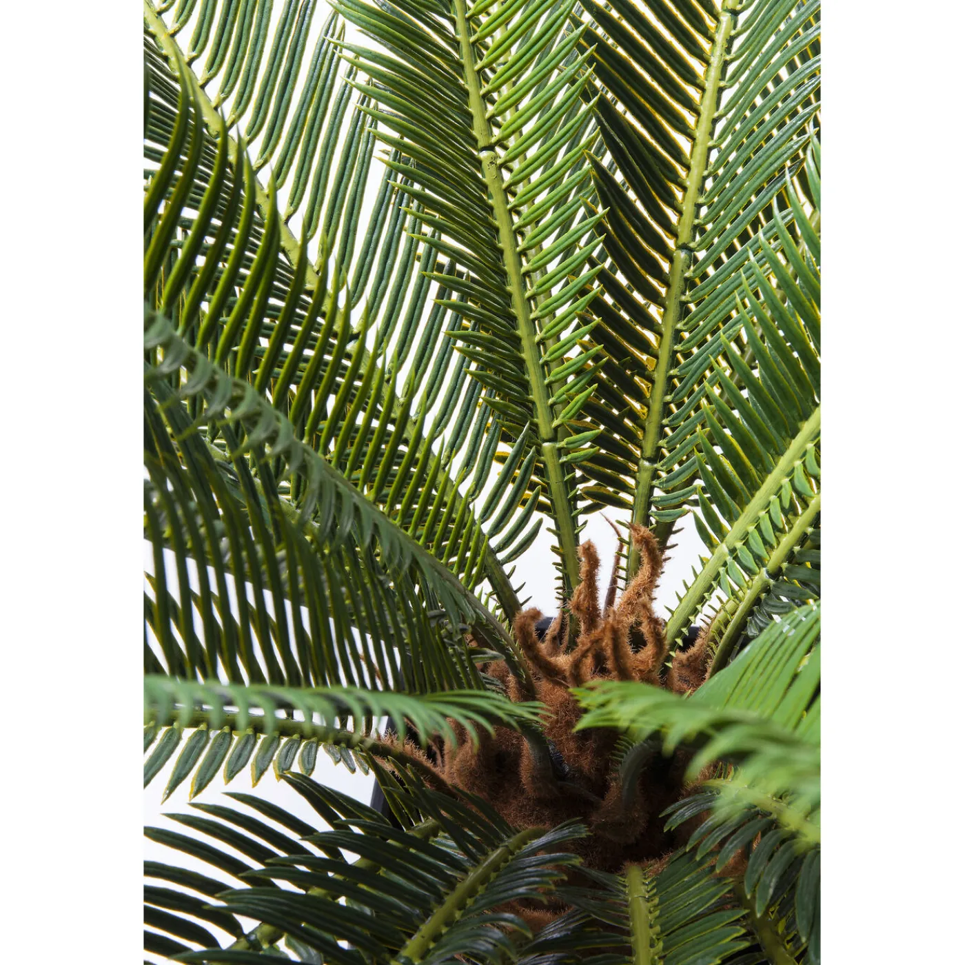 KARE Design Plante Décorative Cycas Tree 78Cm
