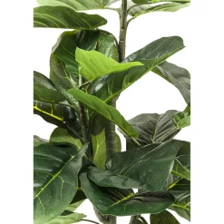 KARE Design Plante Décorative Fiddle Leaf 120Cm