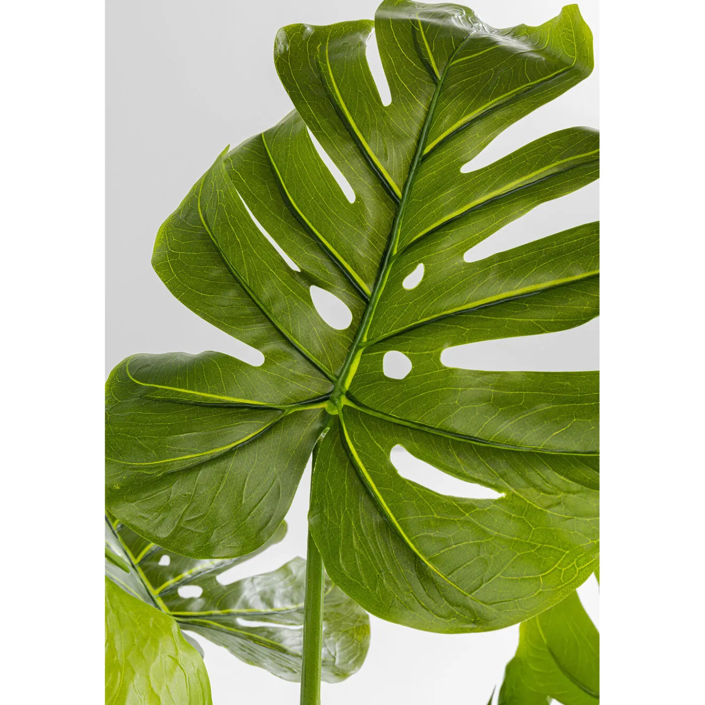 KARE Design Plante Décorative Monstera 110