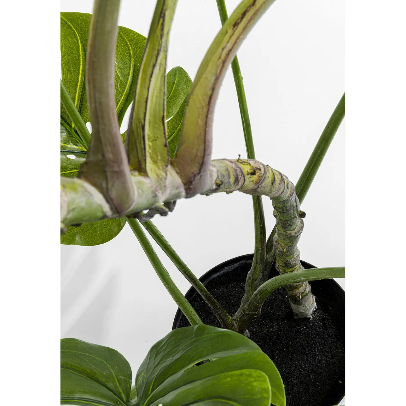 KARE Design Plante Décorative Monstera 110