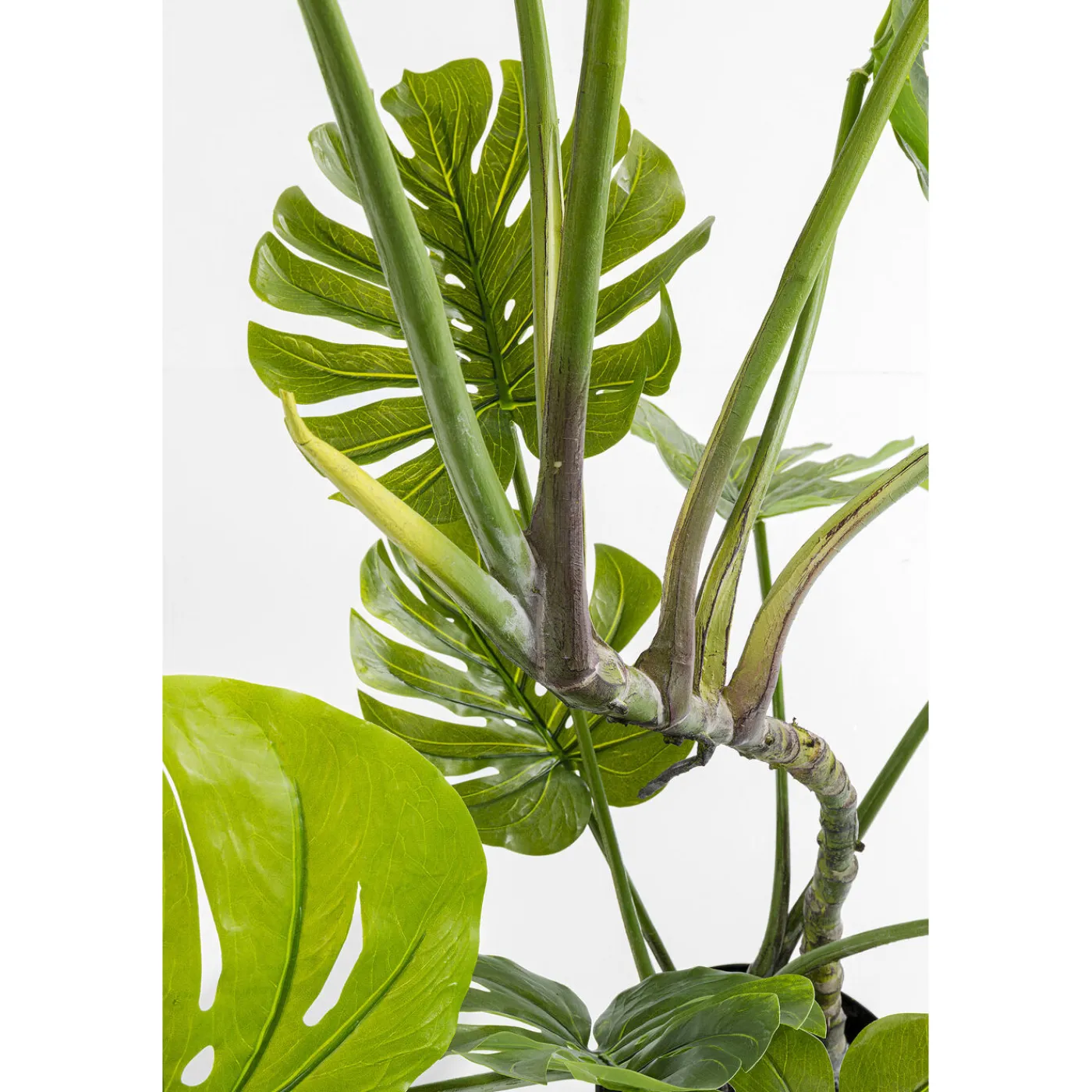 KARE Design Plante Décorative Monstera 110