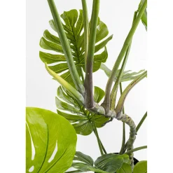 KARE Design Plante Décorative Monstera 110