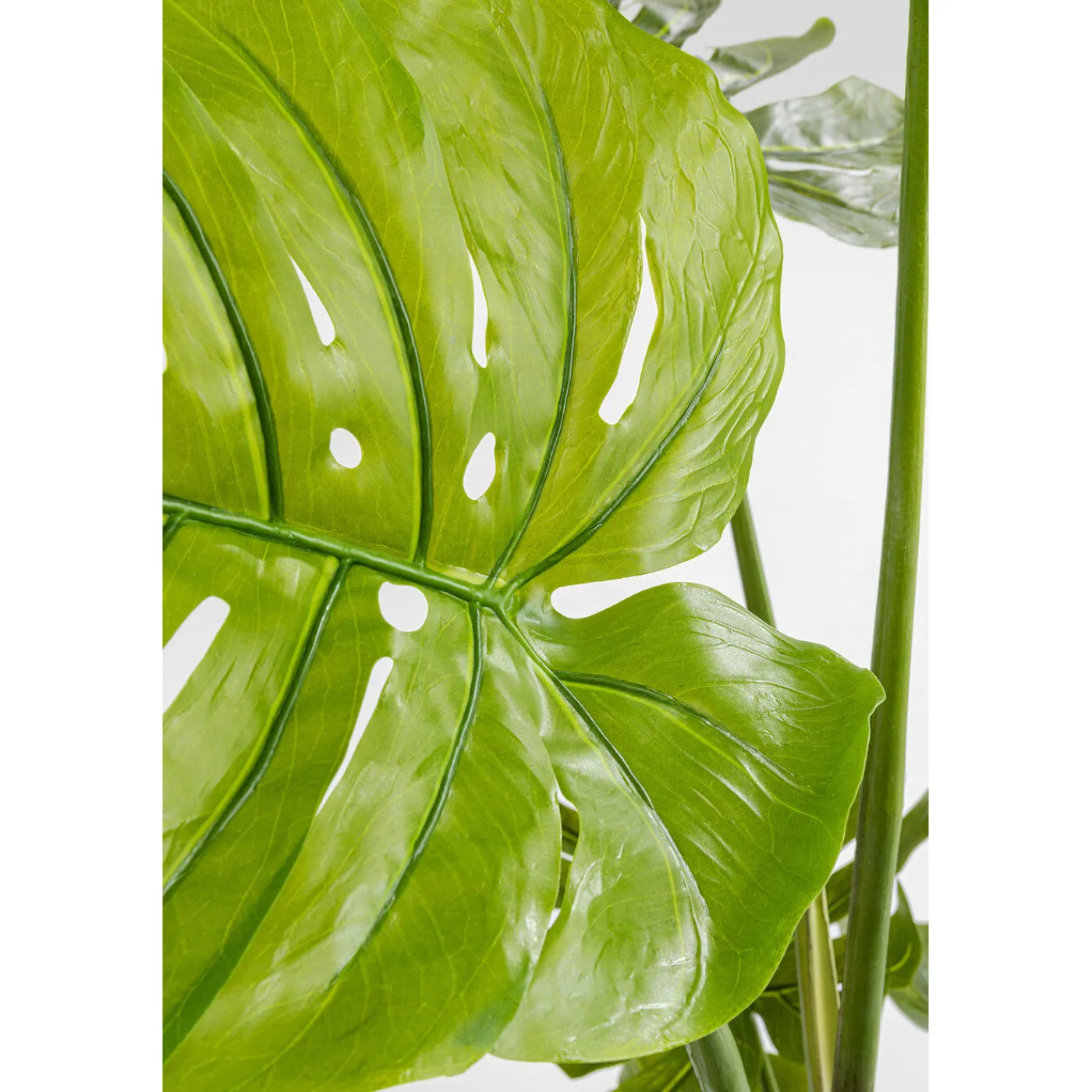 KARE Design Plante Décorative Monstera 110