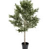 KARE Design Plante Décorative Olive Tree 120Cm