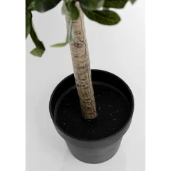 KARE Design Plante Décorative Olive Tree 120Cm