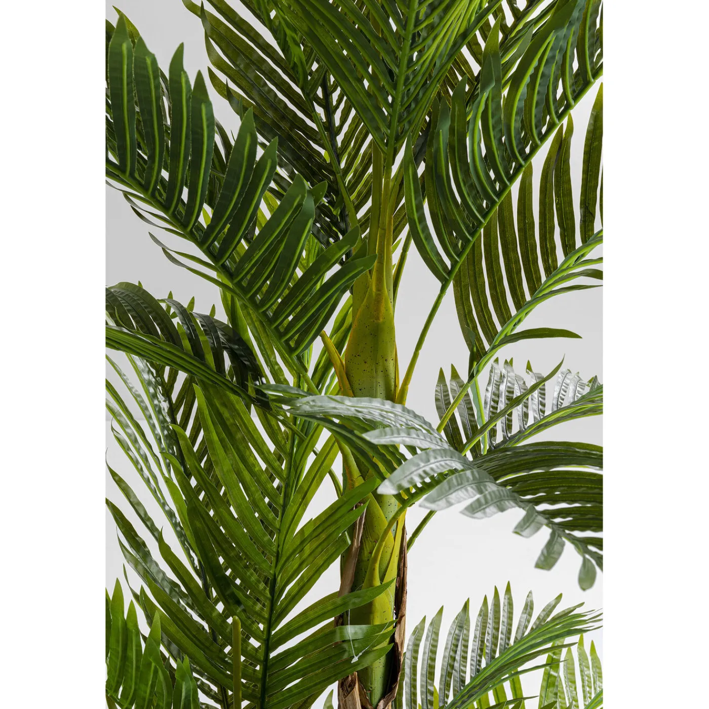 KARE Design Plante Décorative Palm Tree 190Cm