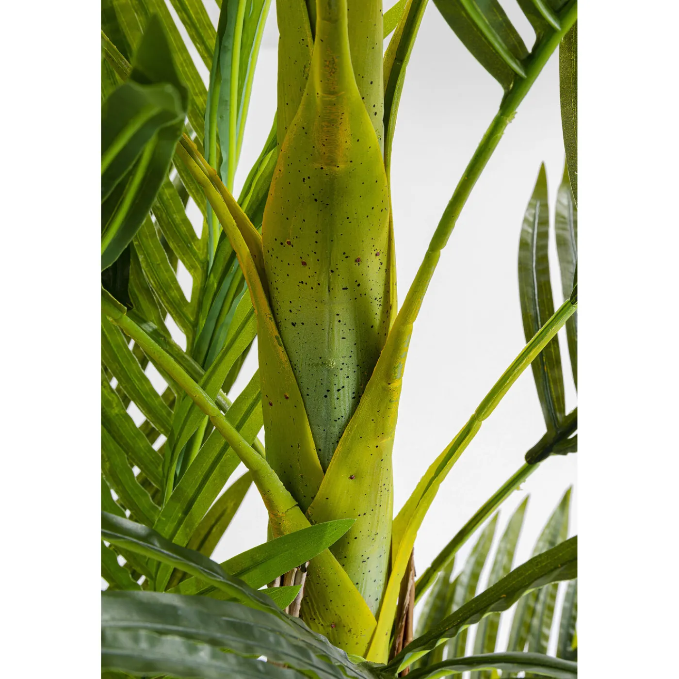 KARE Design Plante Décorative Palm Tree 190Cm