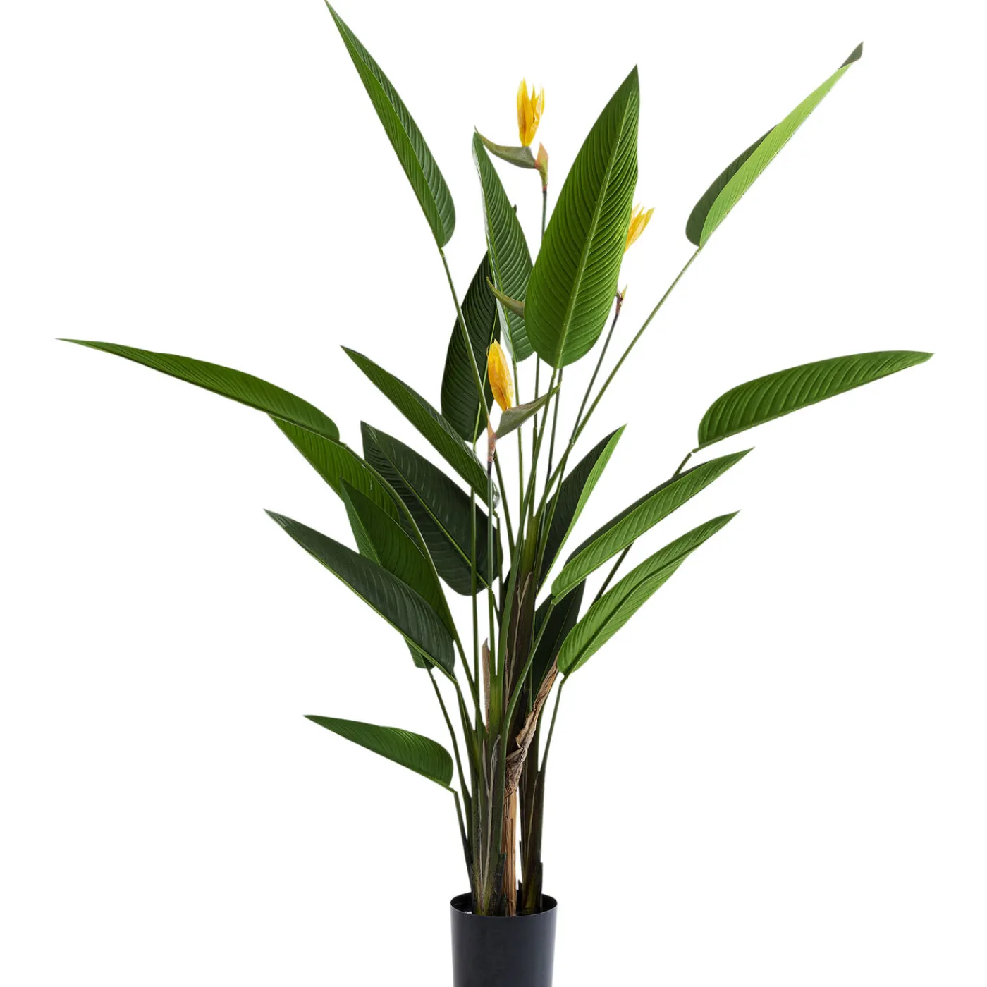 KARE Design Plante Décorative Paradise Flowers 190Cm