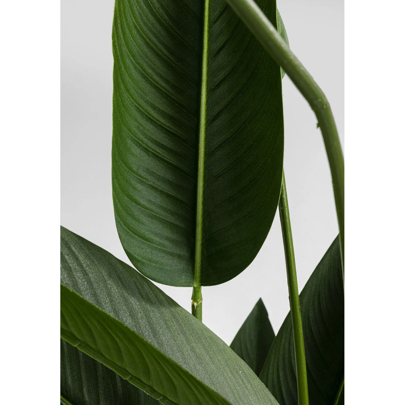 KARE Design Plante Décorative Paradise Flowers 190Cm