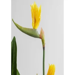 KARE Design Plante Décorative Paradise Flowers 190Cm