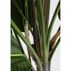 KARE Design Plante Décorative Paradise Flowers 190Cm