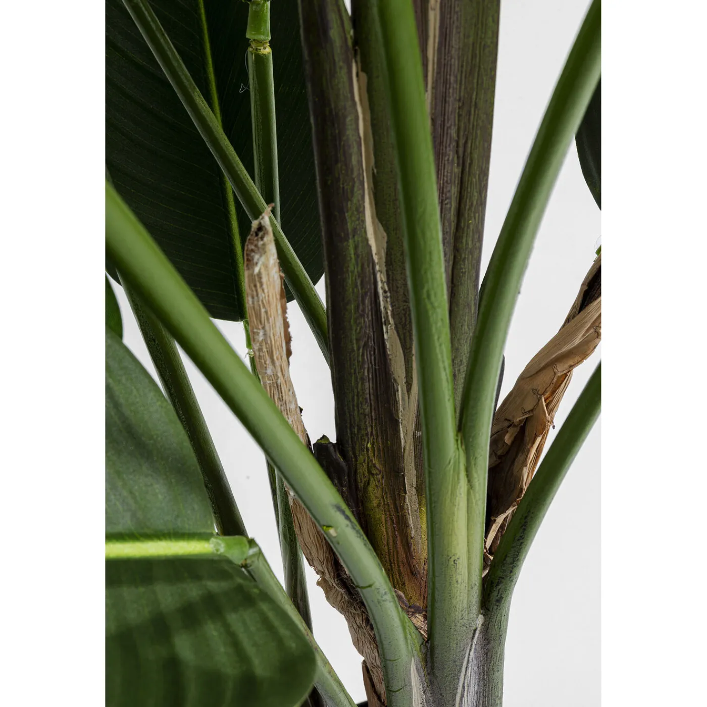 KARE Design Plante Décorative Paradise Flowers 190Cm