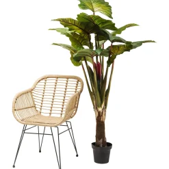 KARE Design Plante Décorative Rainbow Tree 160Cm