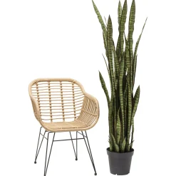 KARE Design Plante Décorative Sansewieria 155Cm