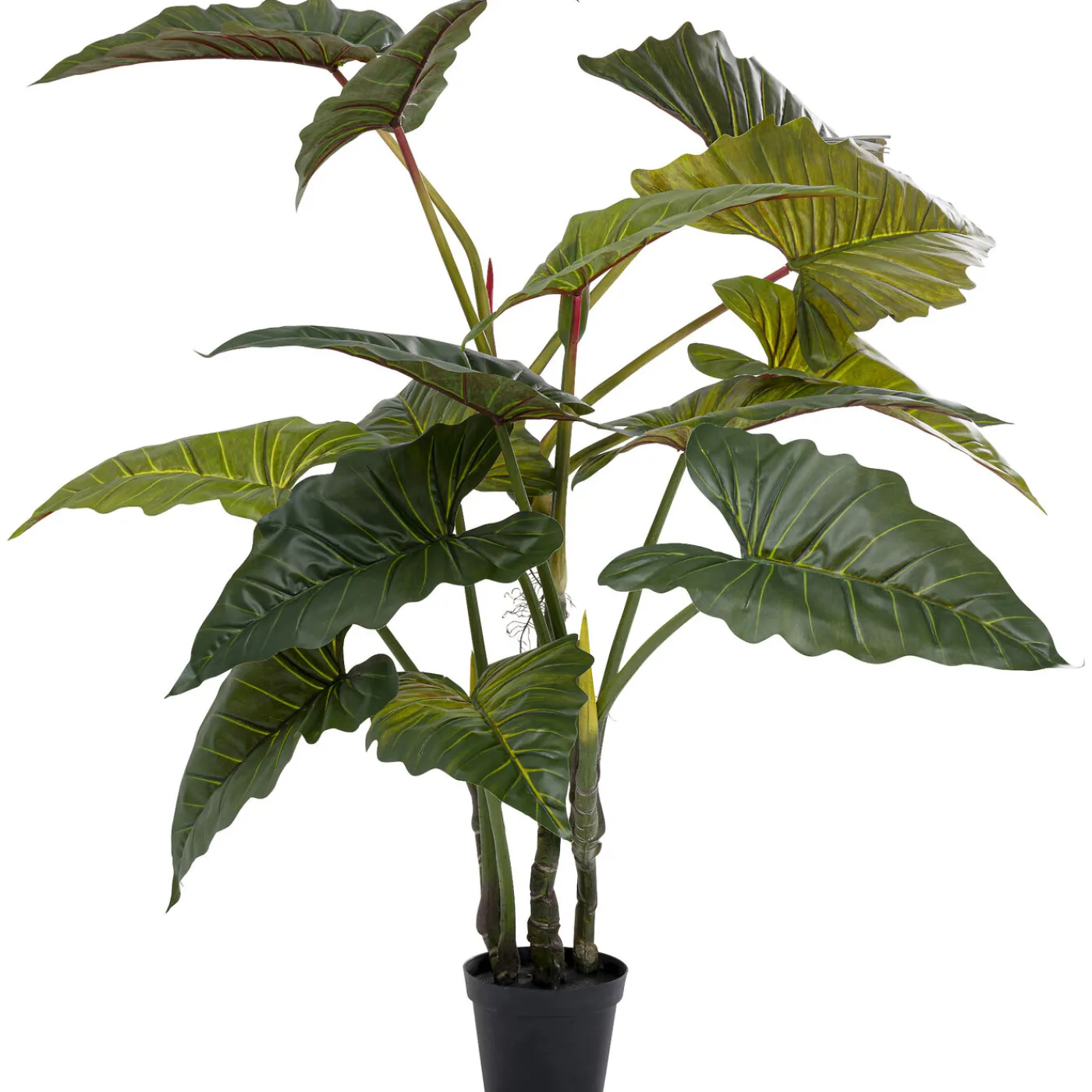 KARE Design Plante Décorative Taro 180