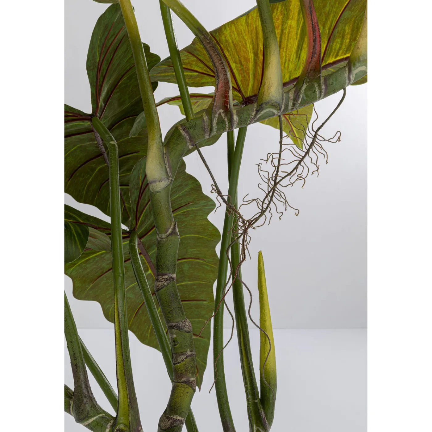 KARE Design Plante Décorative Taro 180