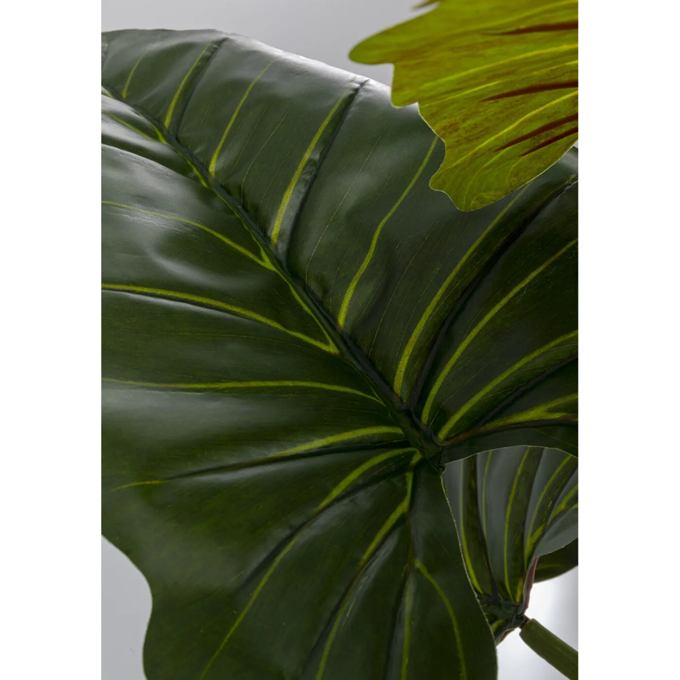 KARE Design Plante Décorative Taro 180