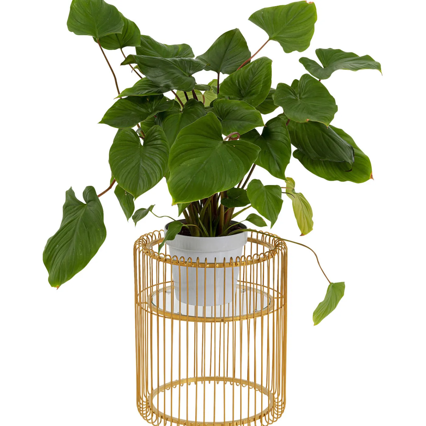 KARE Design Porte-Plantes Wire Dore 44Cm