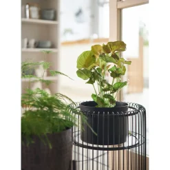 KARE Design Porte-Plantes Wire Noir 44Cm