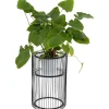 KARE Design Porte-Plantes Wire Noir 57Cm