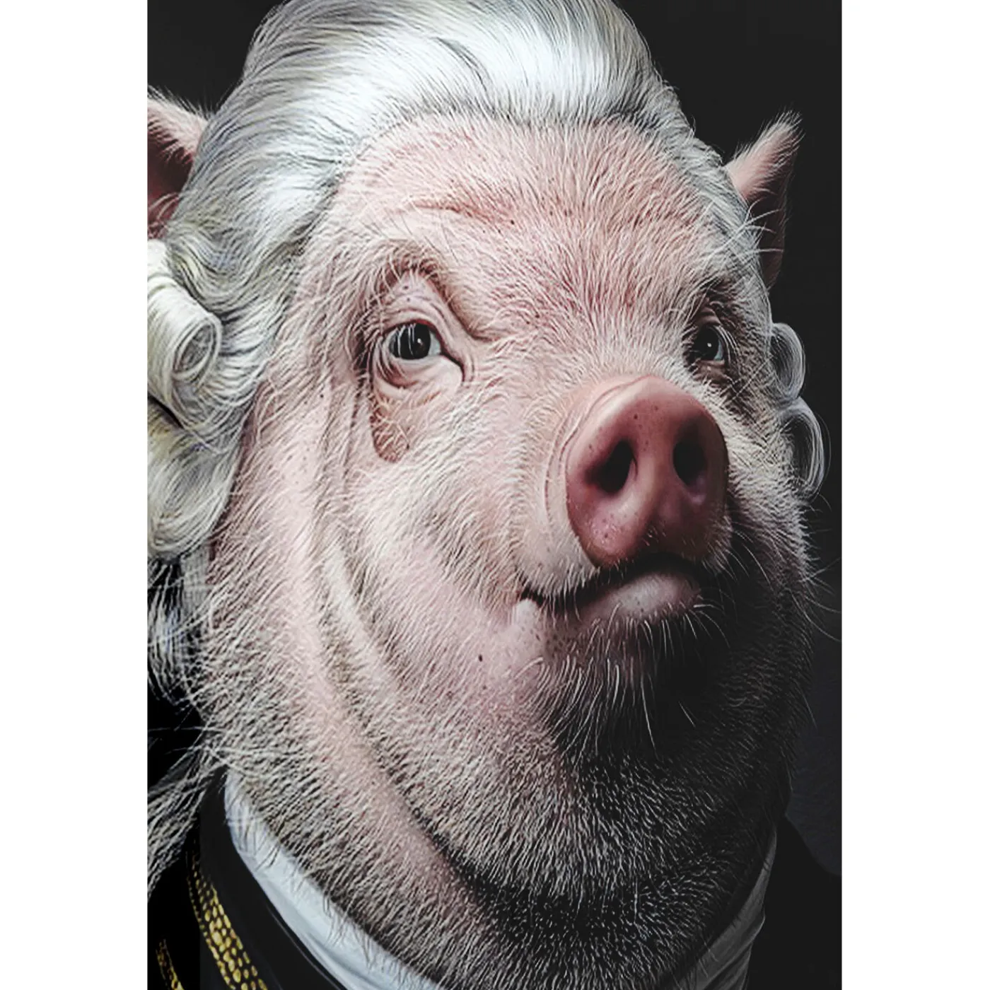 KARE Design Tableau En Verre Gentleman Pig 120X120