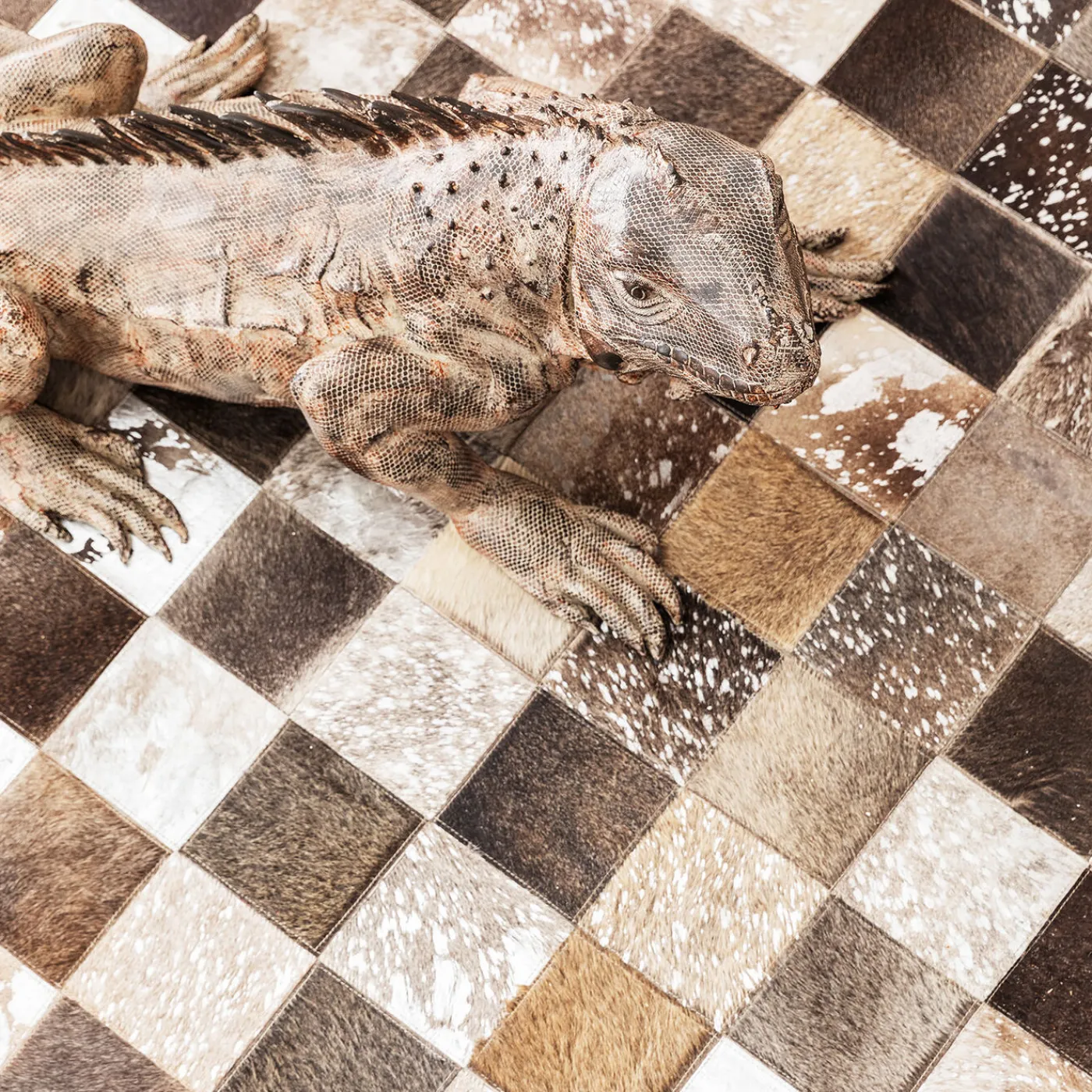 KARE Design Tapis Cosmo Fur Gris 170X240Cm