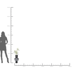 KARE Design Vase Roulette Belly 42